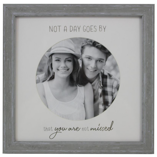 Frame - Not a Day Goes By That You're Not Missed