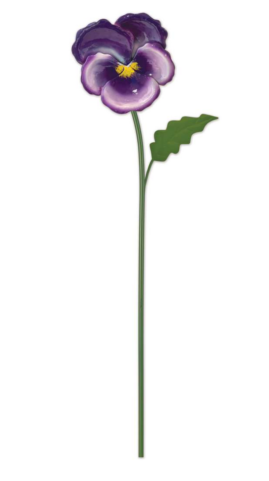 Garden - Plant Pick - Purple Pansy