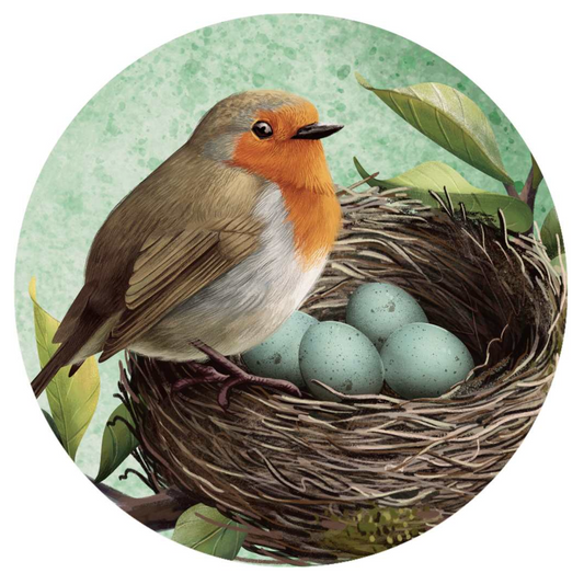 Car Coaster - Robin