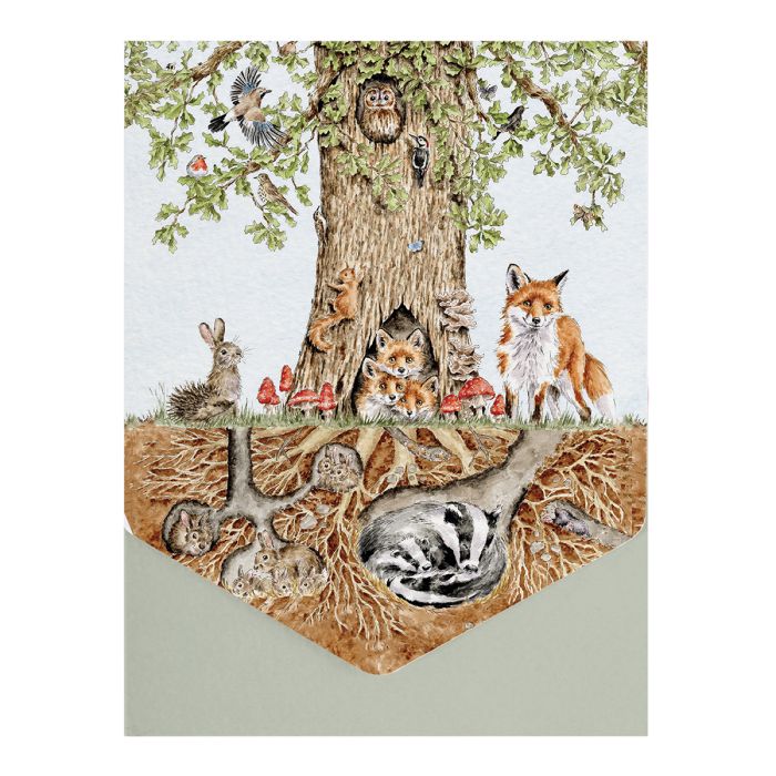 Wrendale Designs - Nature Notecard Pack - Wild Woodland