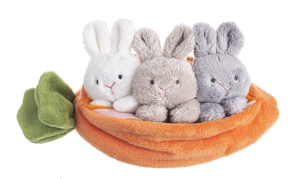 Toy - Carrot Learn & Grow