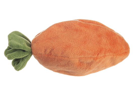 Toy - Carrot Learn & Grow