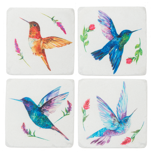 Coasters - Watercolour Hummingbird