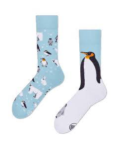 Many Mornings Socks - Frosty Friends