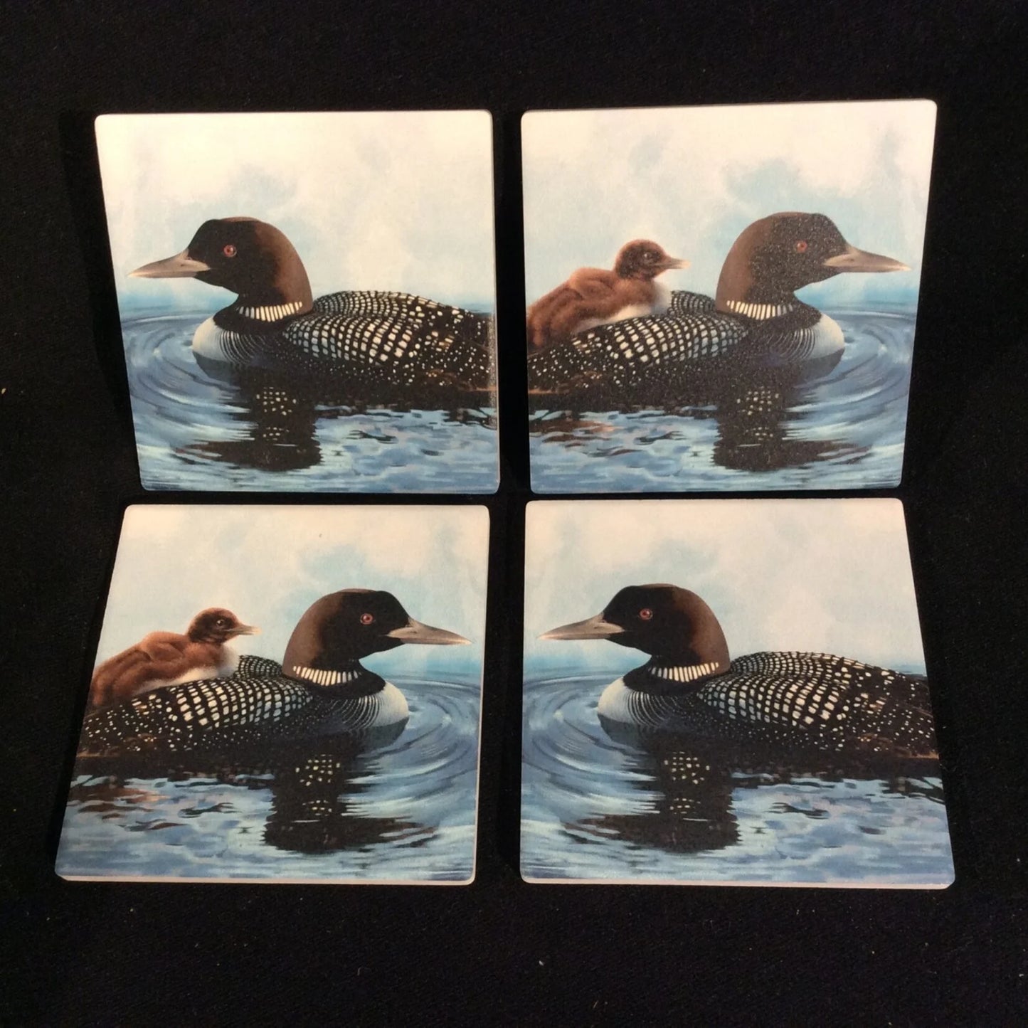 Coaster - Loons - Set of 4
