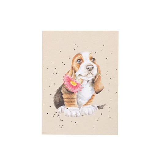 Wrendale Designs - Notebook - Just For You