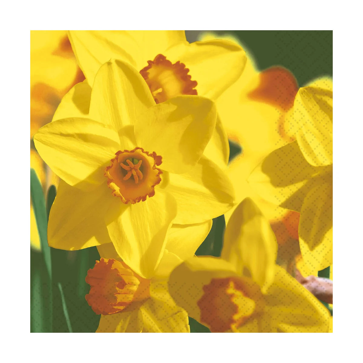 Napkins - Lunch - Yellow Daffodils