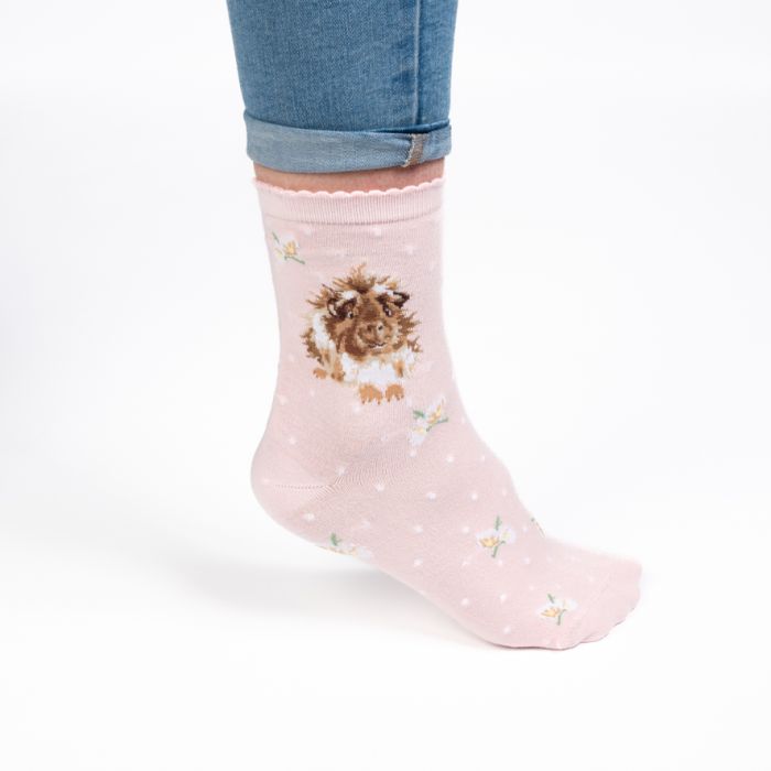 Wrendale Designs - Socks - Guinea Pig