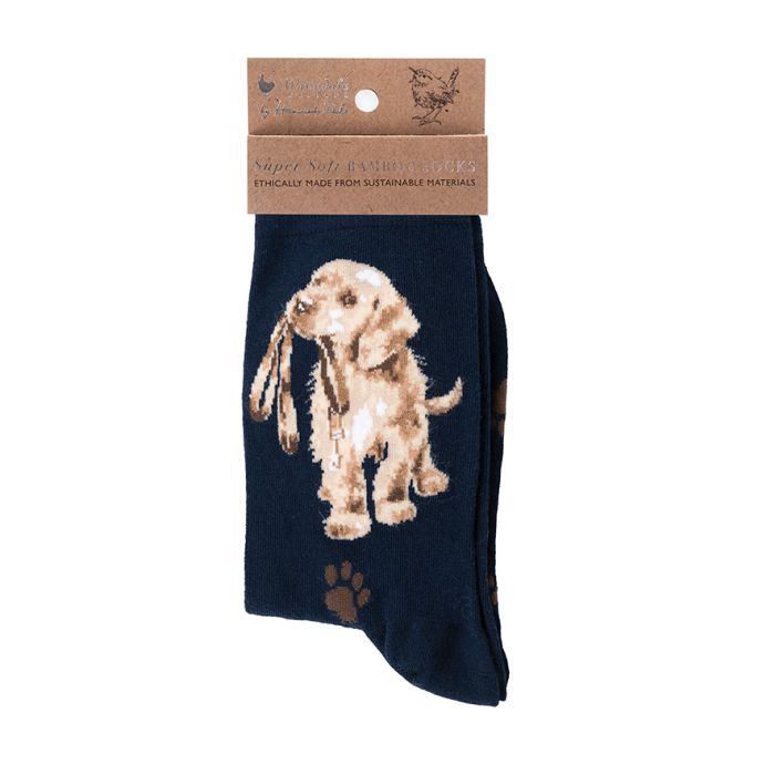 Wrendale Designs - Socks - Hopeful Labrador