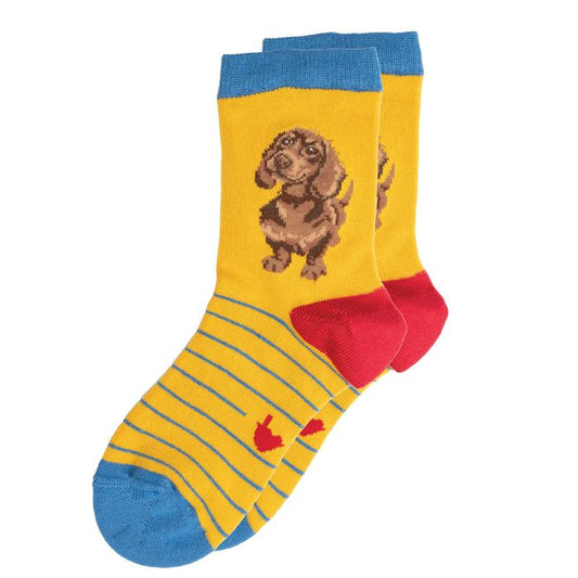 Wrendale Designs - Children's Socks - "Little One" Dachshund