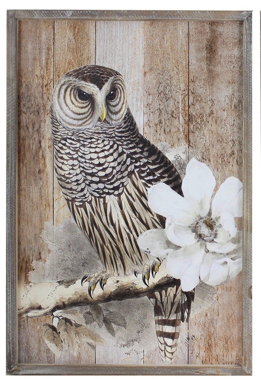 Sign - Owl