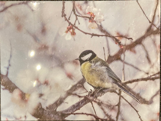 Sign LED Light Up Chickadee