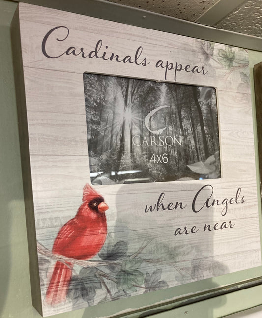 Frame - Cardinals Appear When Angels are Near