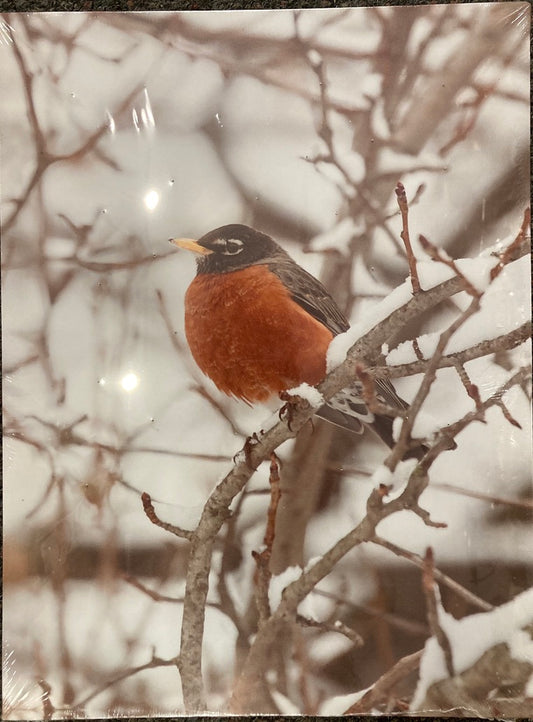 Sign - LED Light Up Snowy Robin