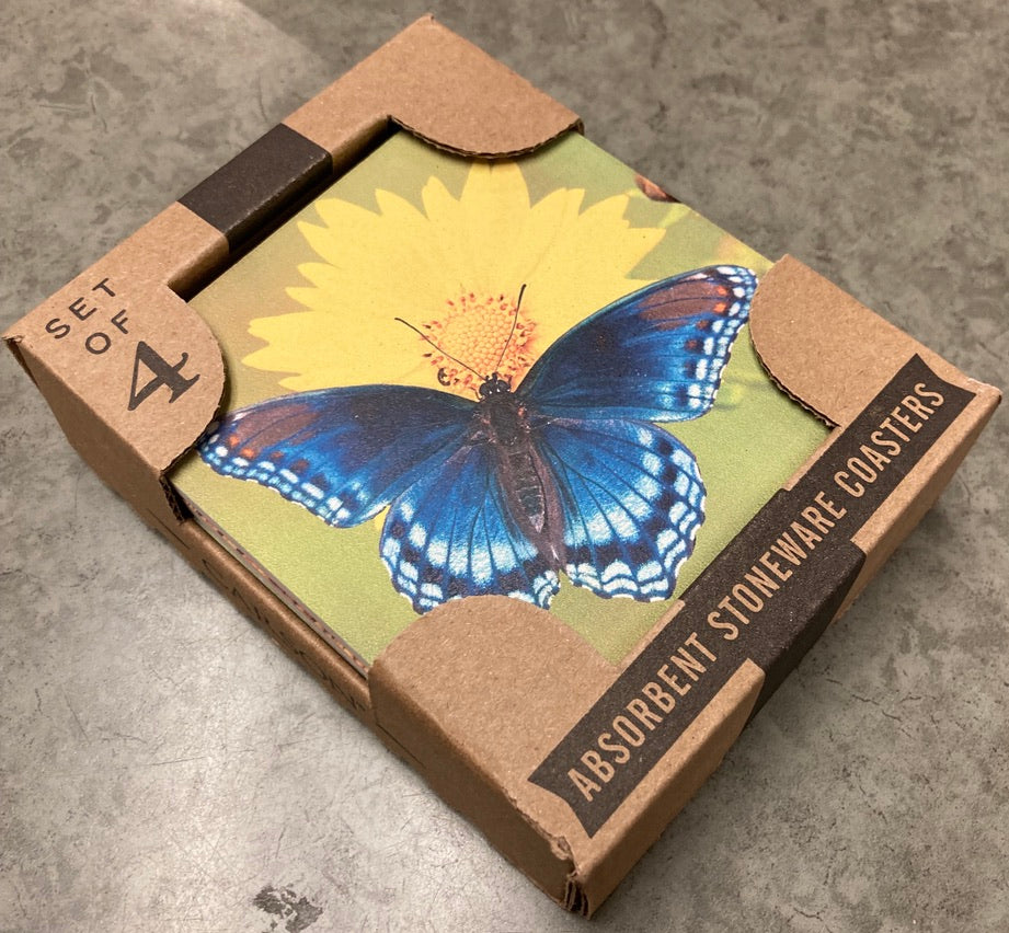 Coasters - Butterflies