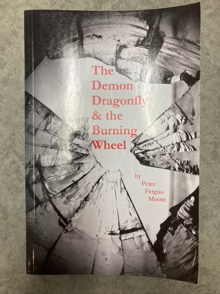 Book - The Demon Dragonfly & the Burning Wheel