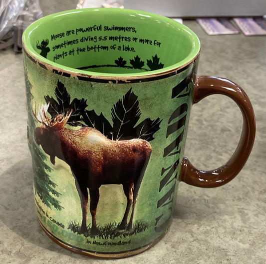 Mug - Moose Facts