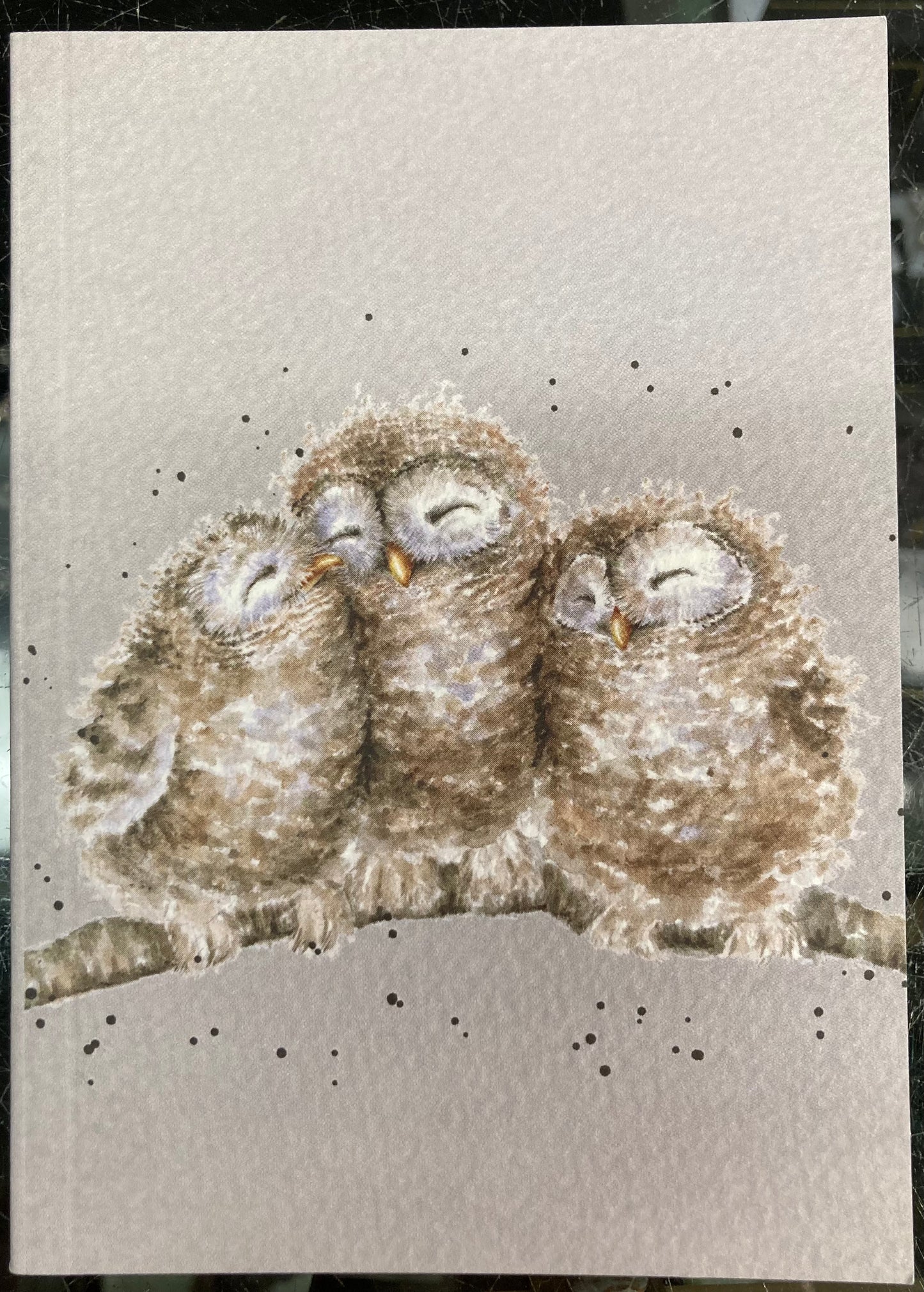 Wrendale Designs - Notebook - Owls