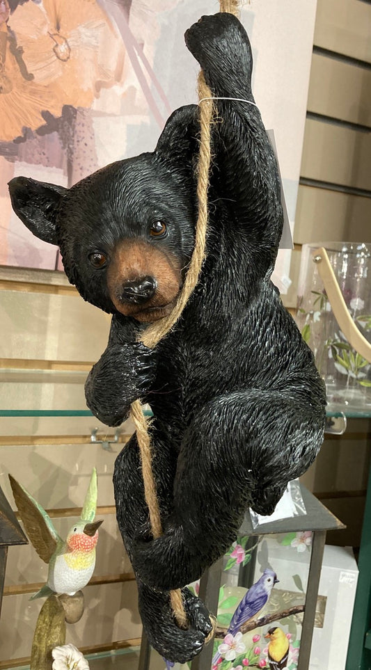 Garden - Hanging Bear On Rope