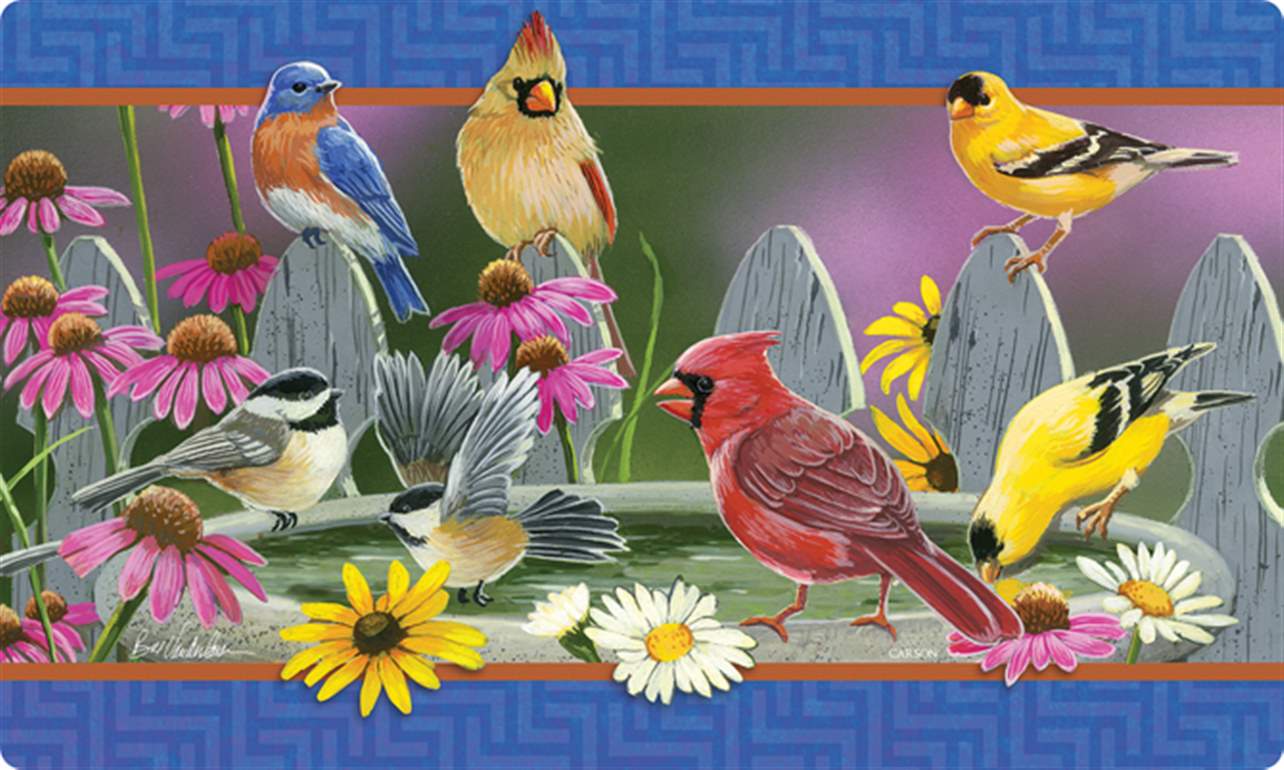 Garden - Carson Indoor/Outdoor Mat - Assorted Birds