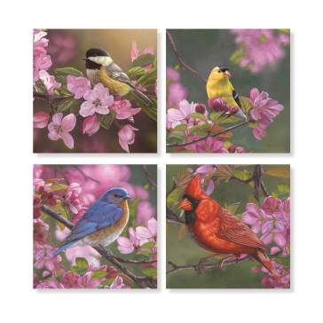 Coasters - Mixed Birds With Pink Flowers