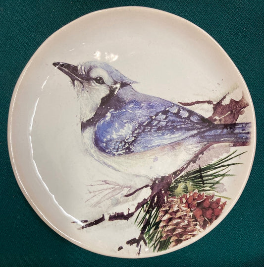Bird Saucer