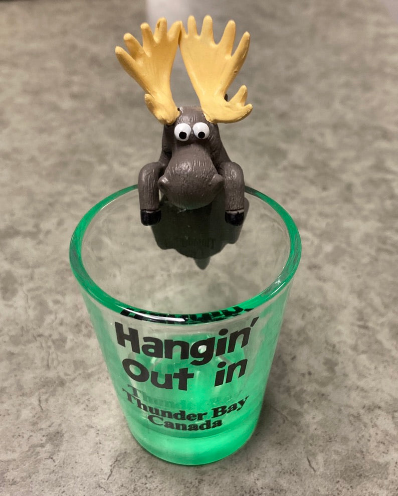 Souvenir Shot Glass - Hangin' Out in Thunder Bay, Canada