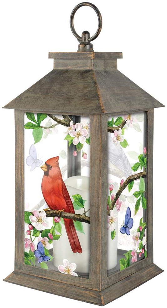 Garden - Lantern - Serene Cardinals