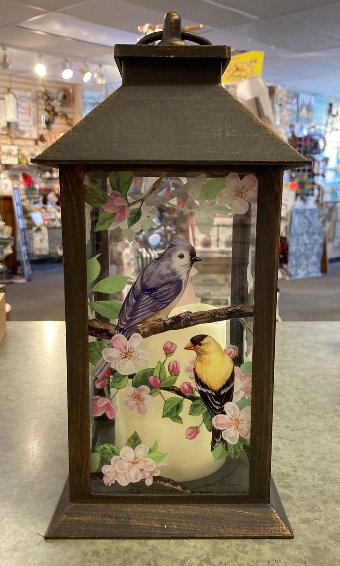 Garden - Lantern - Favourite Birds