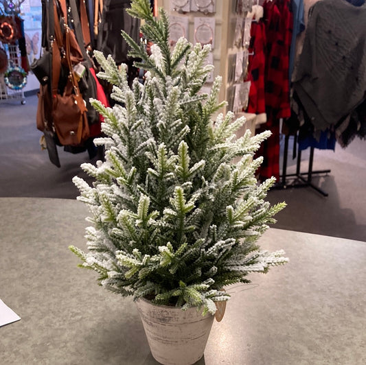 Christmas - Frosted Tree in Pot